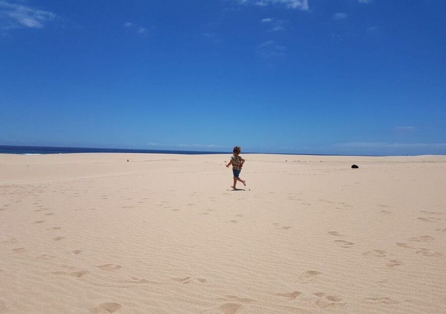From Lanzarote: Fuerteventura Day Trip - Corralejo’s dunes and turquoise water