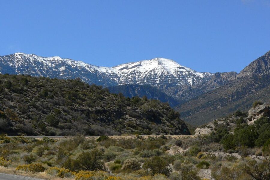From Las Vegas: Day Trip to Mount Charleston Resort - Practical details that can affect your day