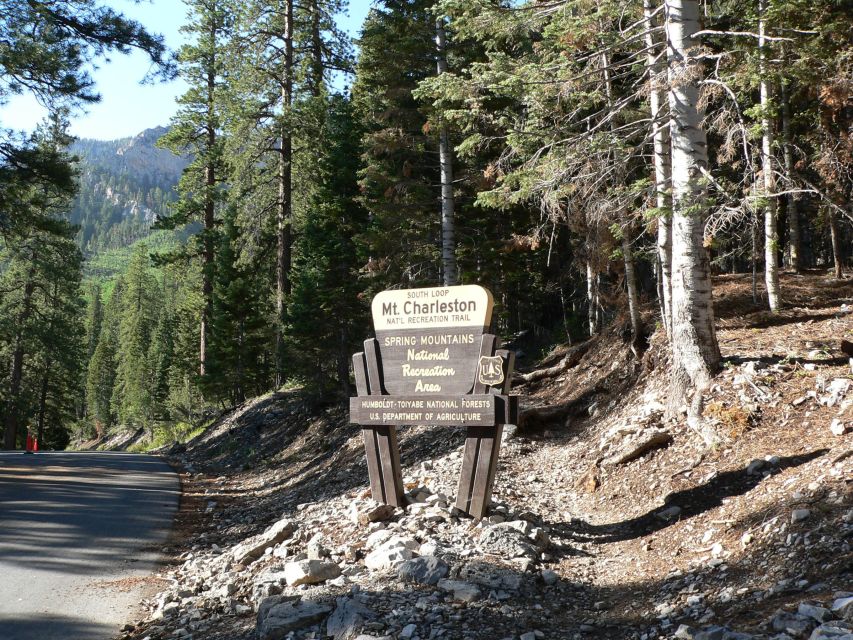 From Las Vegas: Day Trip to Mount Charleston Resort - The morning ride from Las Vegas