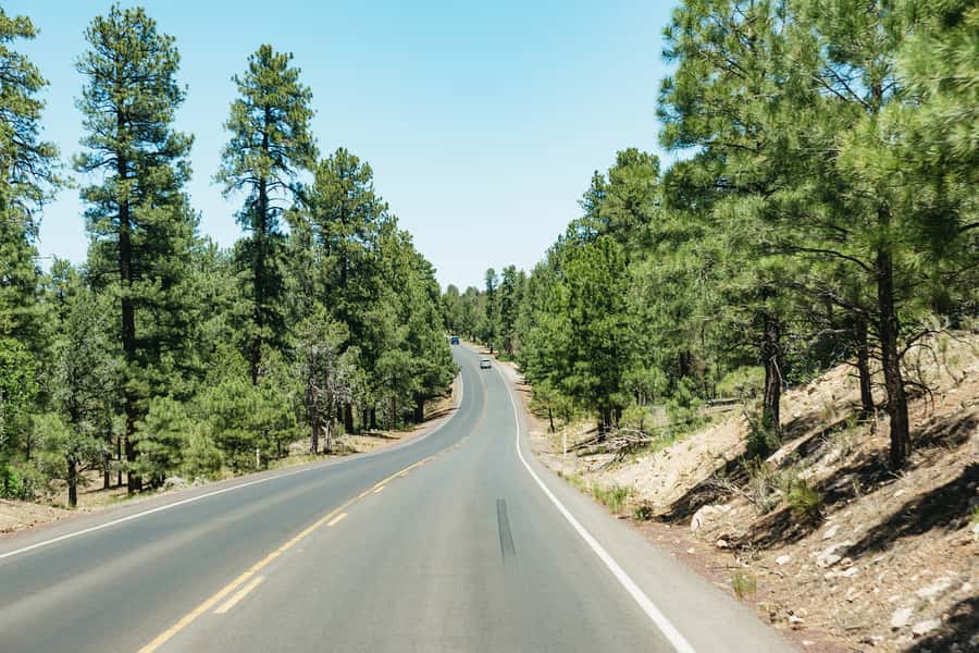 From Las Vegas: Grand Canyon South Rim Day Trip - A few practical cautions before you reserve