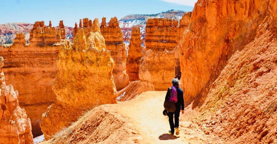 From Las Vegas: Zion and Bryce Canyon Day Trip with Pickup - Key points to know before booking