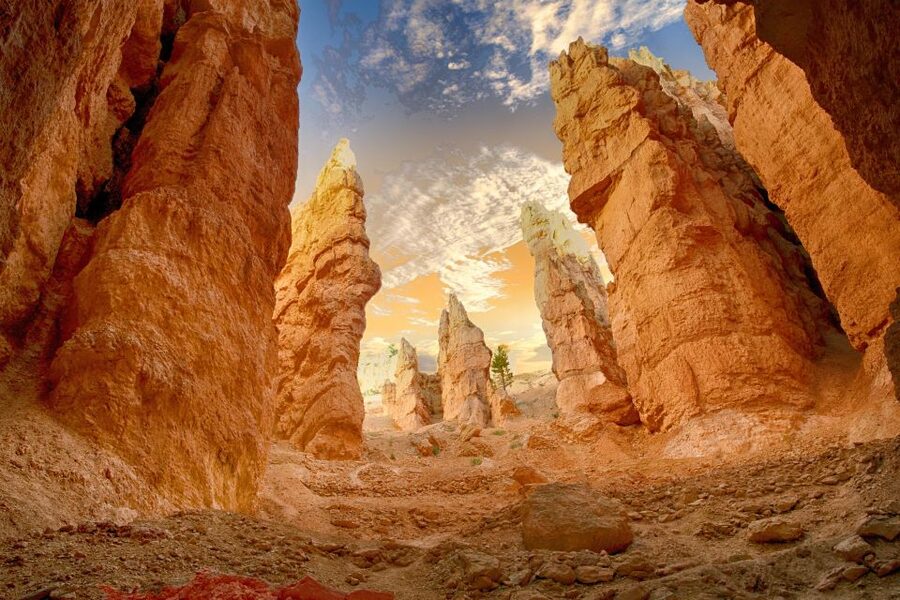 From Las Vegas: Zion and Bryce Canyon Day Trip with Pickup - Is $239 a fair price?