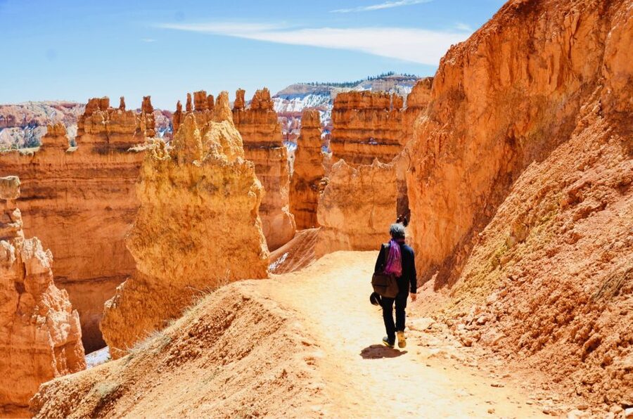 From Las Vegas: Zion and Bryce Canyon Day Trip with Pickup - The small vehicle and group size