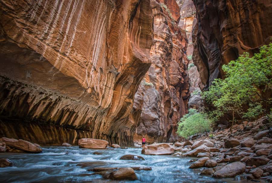 From Las Vegas: Zion National Park Day Trip - Key points at a glance