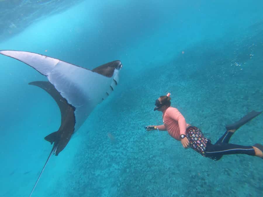 From Lembongan: Nusa Penida Snorkeling Day Trip - What makes this Lembongan snorkeling trip worth considering