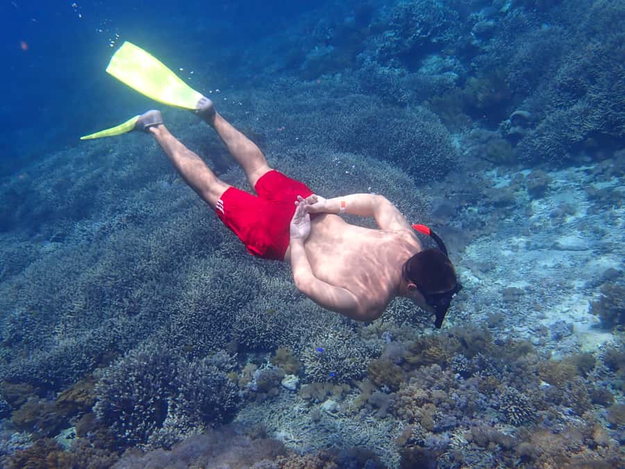 From Lembongan: Nusa Penida Snorkeling Day Trip - From hotel pickup to Mesari Beach Restaurant