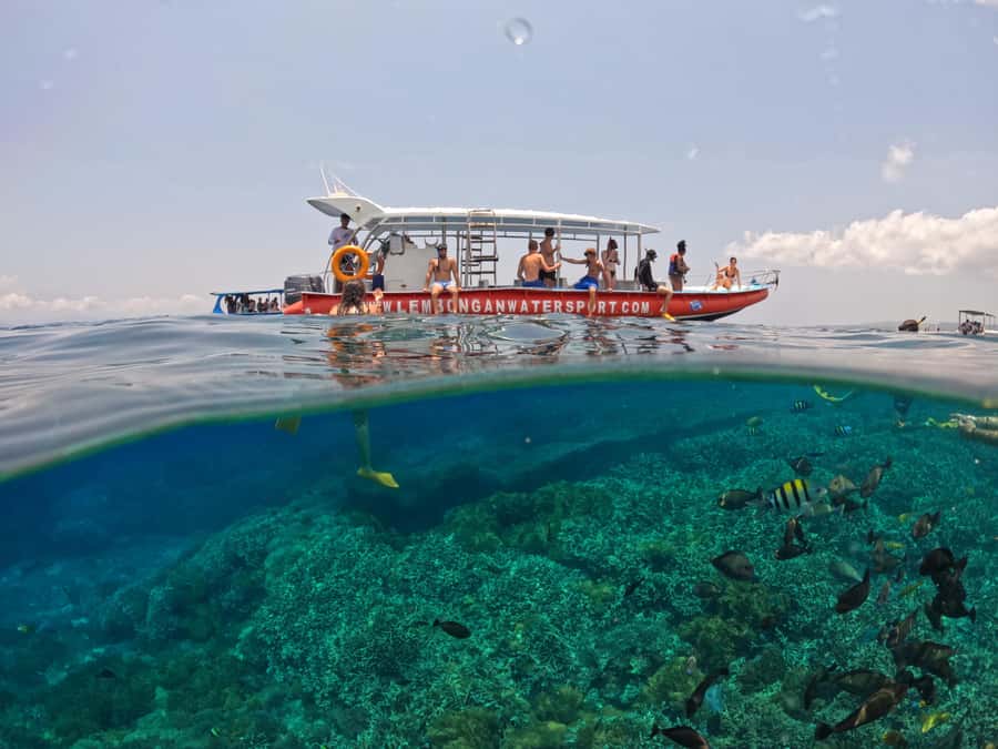 From Lembongan: Nusa Penida Snorkeling Day Trip - Should you book the Nusa Penida snorkeling trip?
