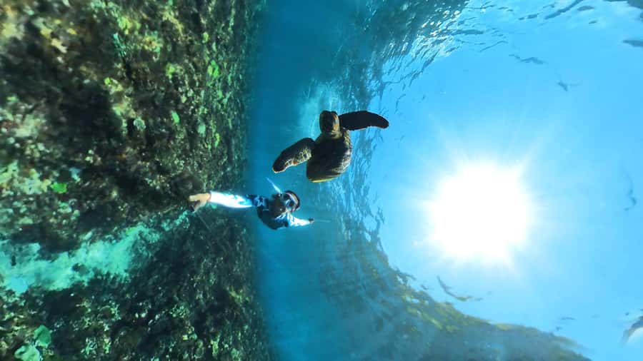 From Lembongan: Nusa Penida Snorkeling Day Trip - Why the guides matter in rough water