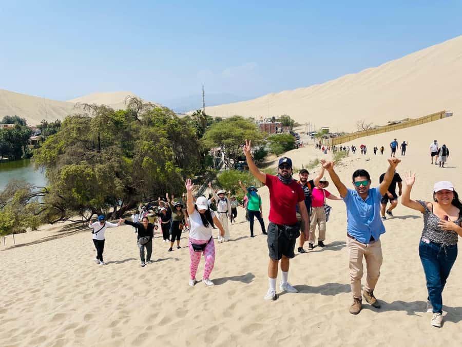 From Lima: Day trip to Paracas, Ica and Oasis Huacachina - Who should book this experience?