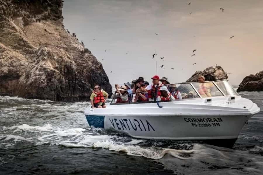 From Lima: Day trip to Paracas, Ica and Oasis Huacachina - Should you book the Lima to Huacachina day trip?