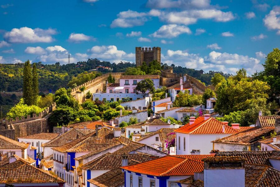 From Lisbon: Day Trip to Porto, Óbidos, and Nazaré - Porto: São Bento, churches, bridges, and the Douro
