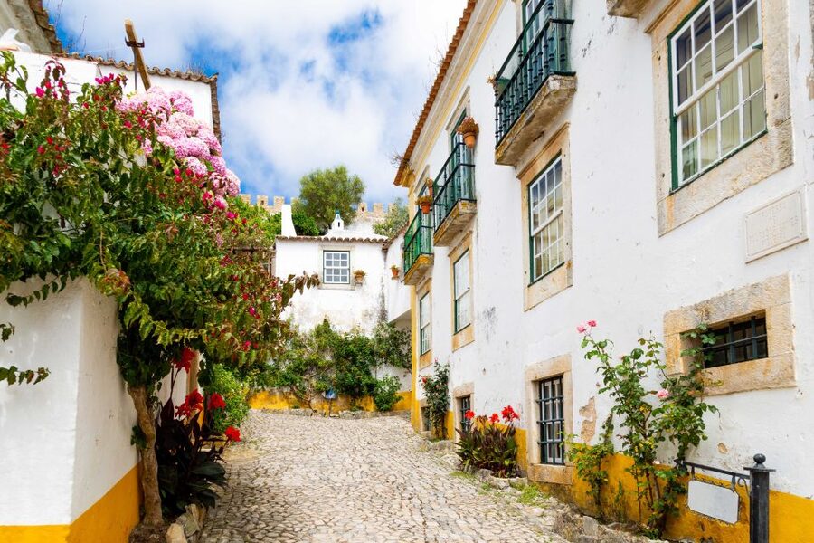 From Lisbon: Day Trip to Porto, Óbidos, and Nazaré - How the guides shape the experience