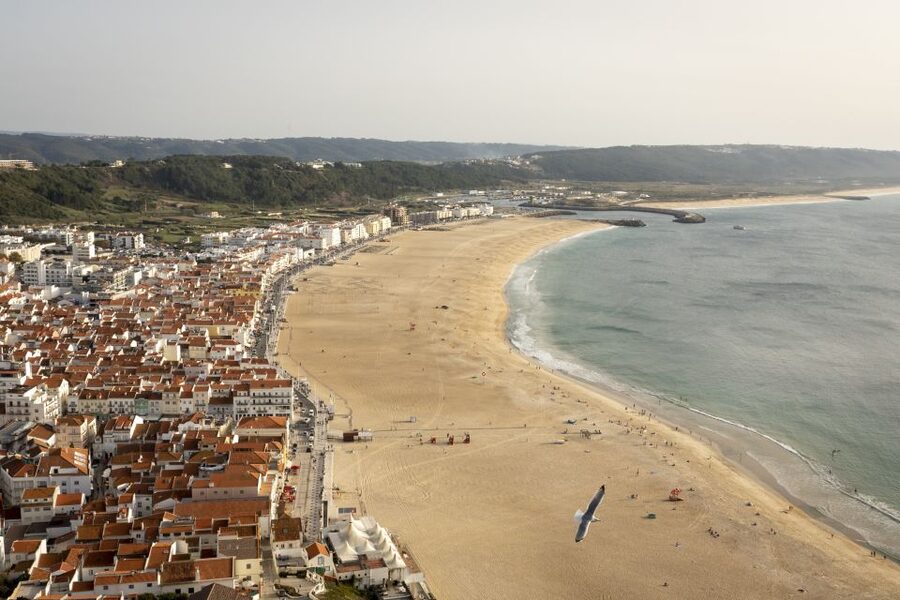 From Lisbon: Day Trip to Porto, Óbidos, and Nazaré - Who should book this experience?