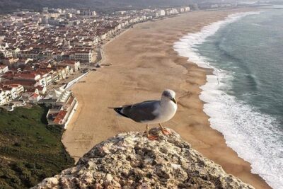 Fatima Batalha Nazare & Obidos Small Group Day Trip