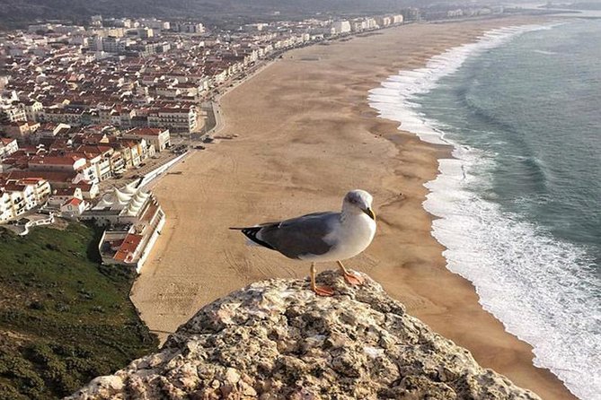 From Lisbon: Fatima Batalha Nazare & Obidos Small Group Day Trip - Fátima: A solemn start with about 90 minutes