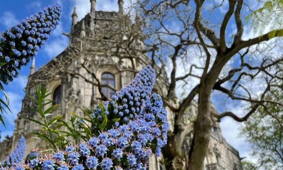 From Lisbon: Sintra, Pena Palace and Regaleira Day Trip - Is $64 a fair price?