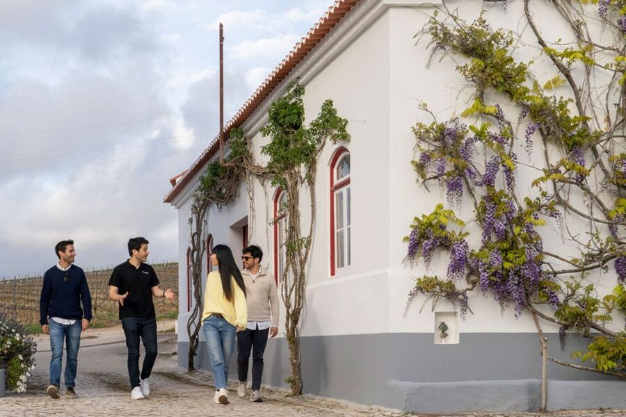 From Lisbon: Sintra & Pena Palace Day Trip with Wine Tasting - Why this pairing works so well
