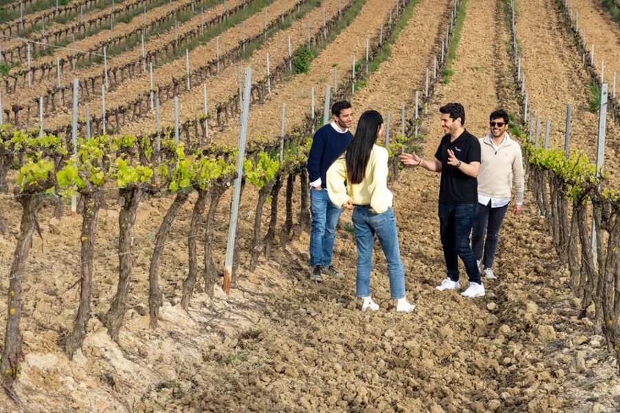 From Lisbon: Sintra & Pena Palace Day Trip with Wine Tasting - Meeting at Marquis of Pombal Square