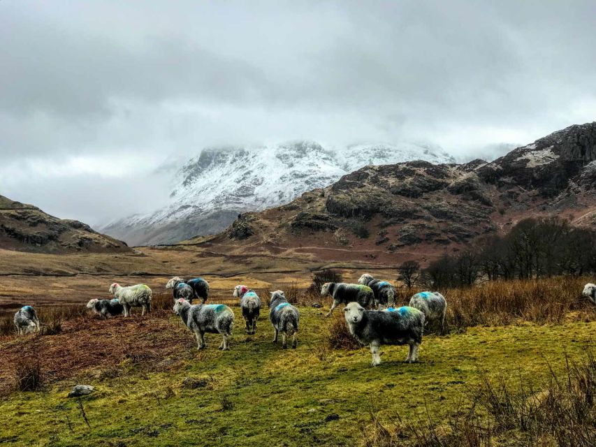 From Liverpool: Lake District Sightseeing Adventure Day Trip - What the guides add to the day