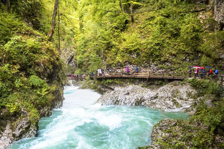 From Ljubljana: Day Trip to Bled and Vintgar Gorge - FAQ