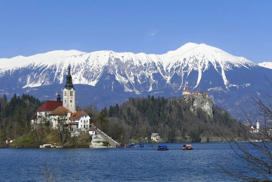 From Ljubljana: Private Bled Lake Day Trip - Key points to know before booking