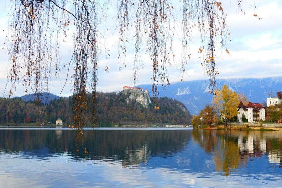 From Ljubljana: Private Bled Lake Day Trip - Guides, communication, and personal service