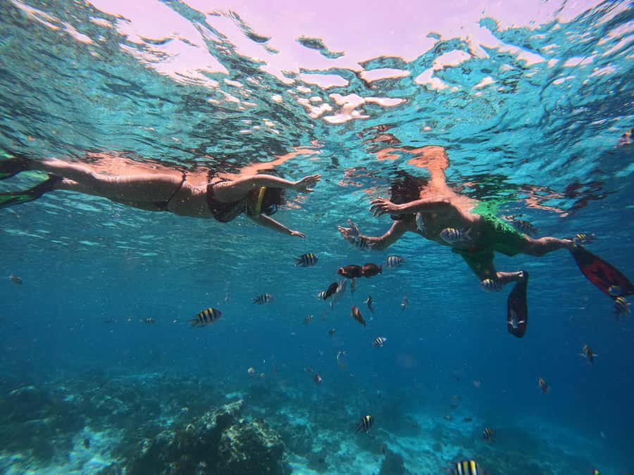 From Lombok: Gili Islands Snorkeling Day Trip - Gili Air: a longer final snorkel