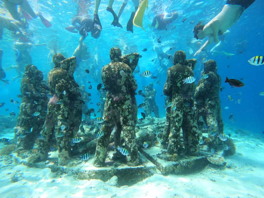From Lombok: Gili Islands Snorkeling Day Trip - Equipment, comfort, and what to pack