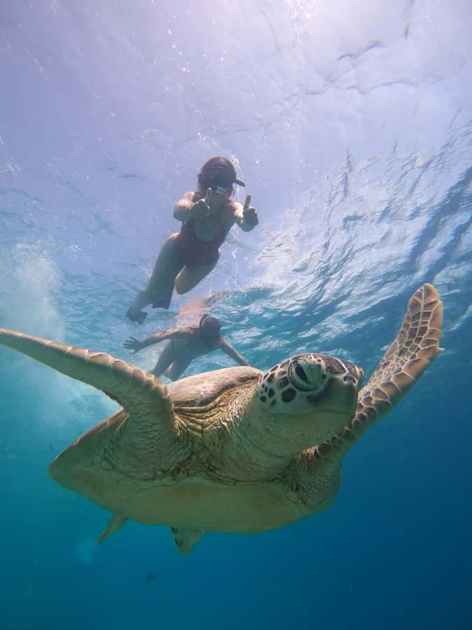 From Lombok: Gili Islands Snorkeling Day Trip - Group size and the chance of a private boat