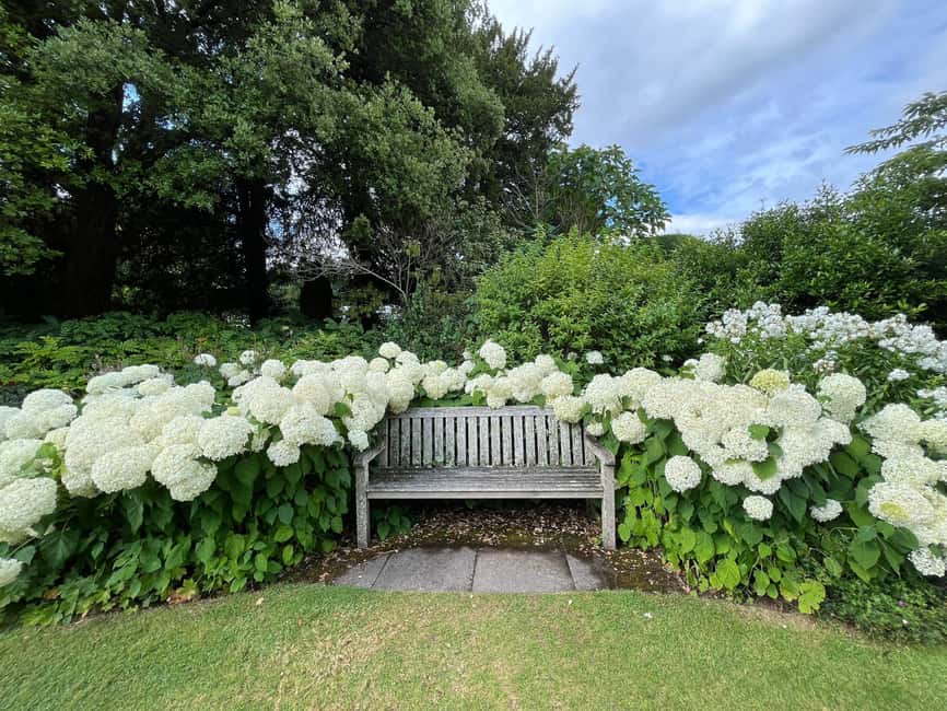 From London: Day Trip to Downton Abbey, Oxford and Bampton - Coach comfort and the pace of the day