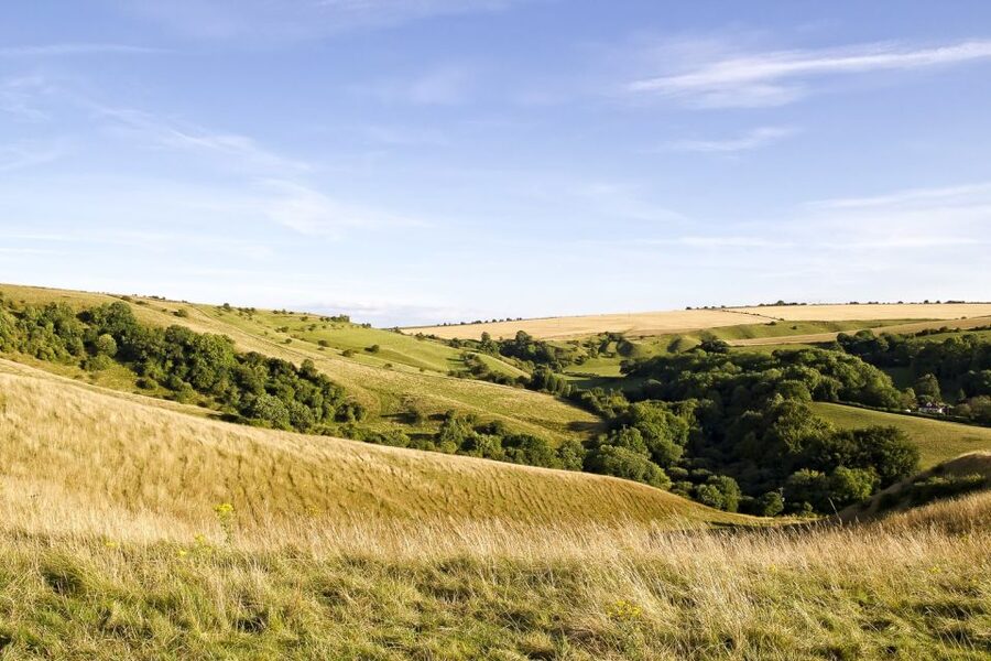 From London: Stonehenge and Bath Day Trip with Ticket - Who should book this day trip?