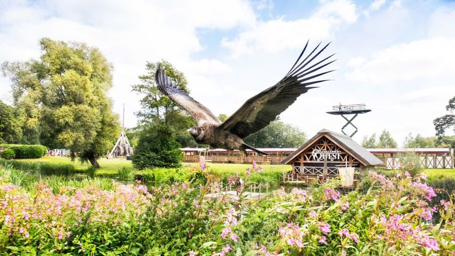 From London: Warwick Castle Day Trip by Rail - Who should book this independent day trip