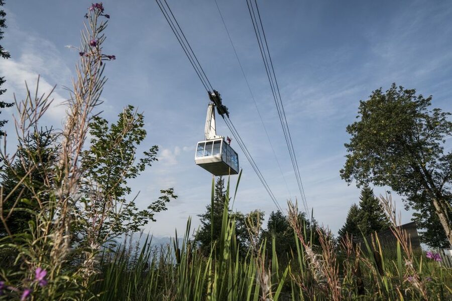 From Lucerne: Mount Rigi Day Trip with Cruise and Cable Car - The 1871 cogwheel railway to Rigi Kulm