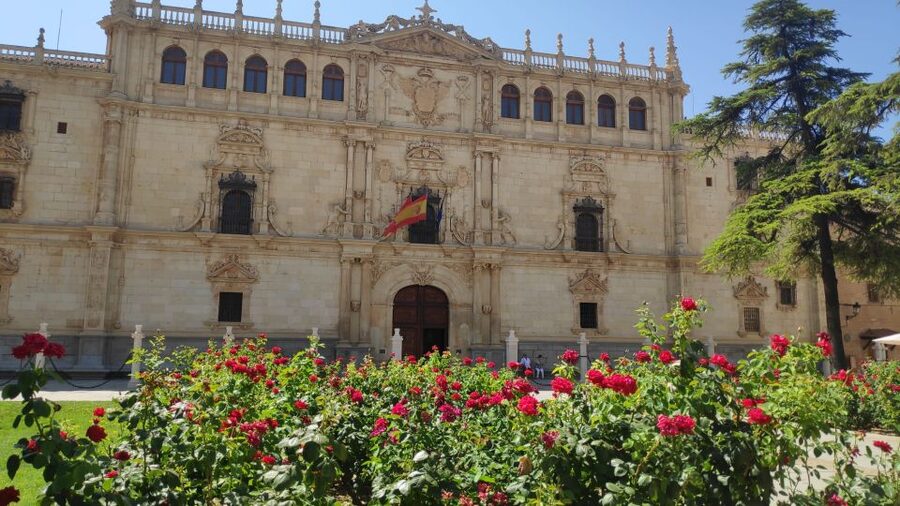 From Madrid: Alcalá de Henares & Cervantes Museum Day Trip - The baptism chapel and Cervantes’ local story