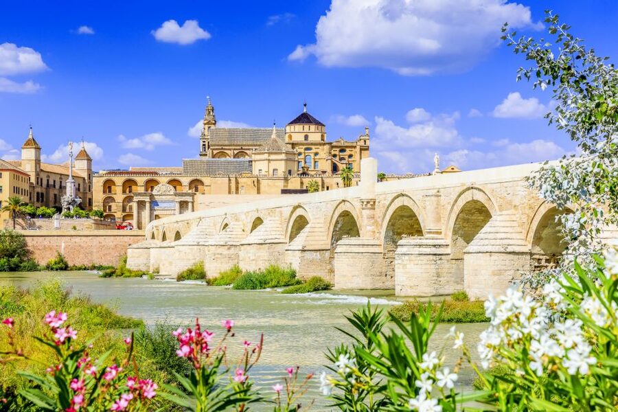 From Madrid: Andalucia & Toledo 5-Day Trip - Day 4: Granada and the Alhambra