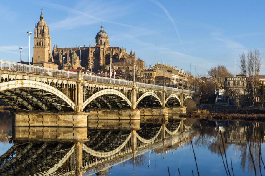 From Madrid: Ávila and Salamanca Guided Day Trip - Walking demands are real