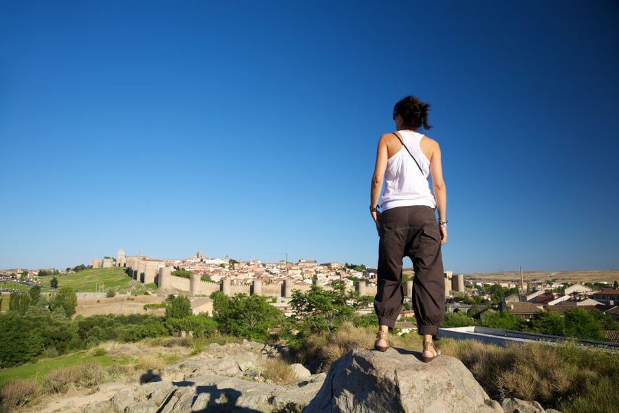 From Madrid: Ávila and Salamanca Guided Day Trip - Who should book this experience?