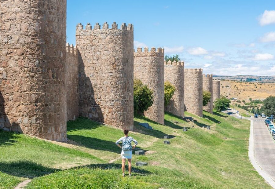 From Madrid: Ávila and Salamanca Guided Day Trip - Salamanca first: grand streets and university-town character