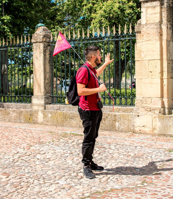 From Madrid: Ávila and Segovia Guided Day Trip - Segovia’s Roman aqueduct and Old Town