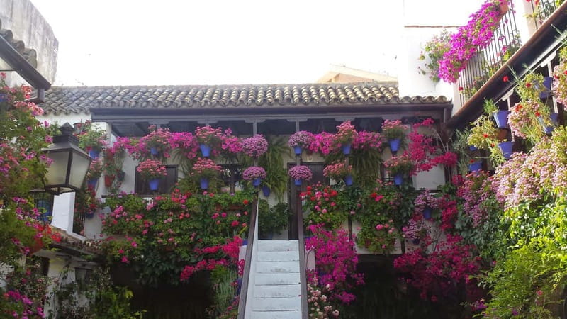 From Madrid: Cordoba and Mosque Day Trip by High-Speed Train - Who should book this Córdoba day trip?
