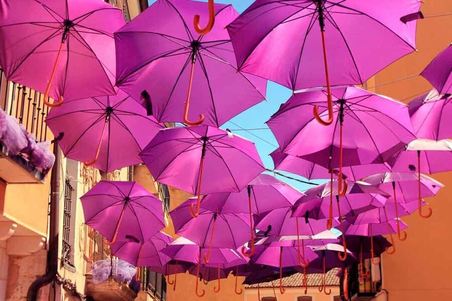 From Madrid: Day Trip to Brihuega Lavender Fields - Key points to know before you book
