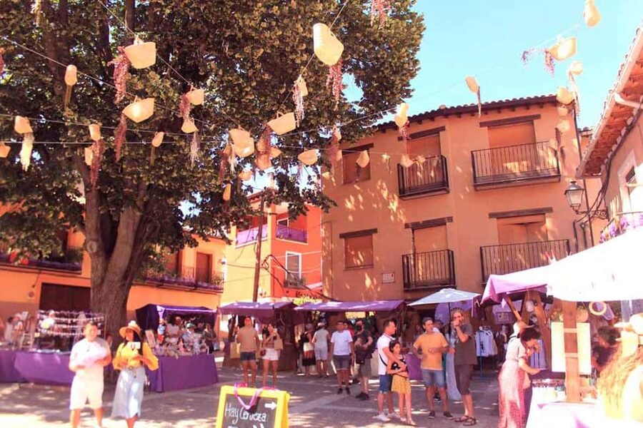 From Madrid: Day Trip to Brihuega Lavender Fields - Two hours and 45 minutes in Brihuega