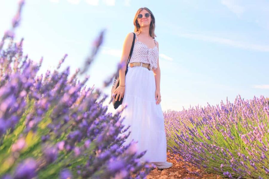 From Madrid: Day Trip to Brihuega Lavender Fields - Starting at Hotel Mediodía