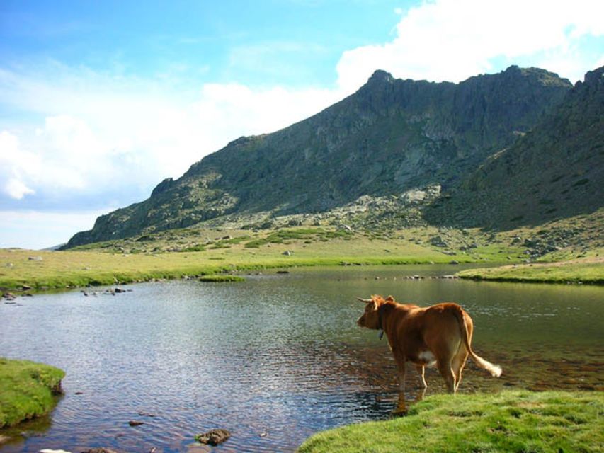 From Madrid: Day Trip to Guadarrama National Park - Why Guadarrama makes a worthwhile escape from Madrid