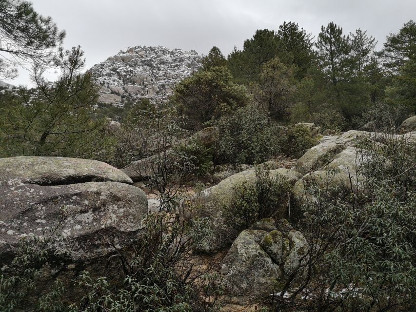 From Madrid: Day Trip to Guadarrama National Park - Two hours among the granite of La Pedriza