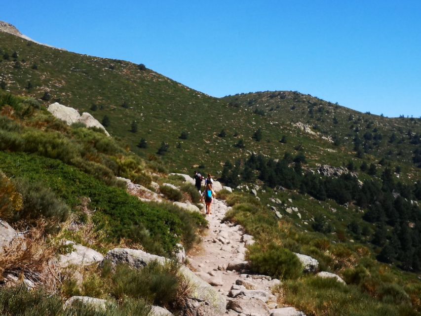 From Madrid: Day Trip to Guadarrama National Park - Two hours at the Mirador de las 6 panorámicas