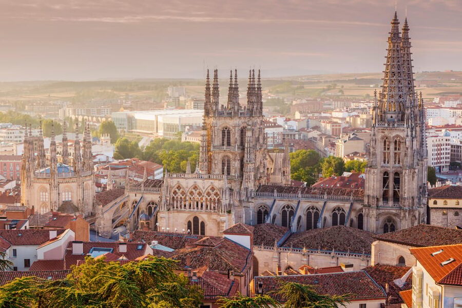From Madrid: Day trip to Toledo and Don Quixote Windmills - Who should book this outing?