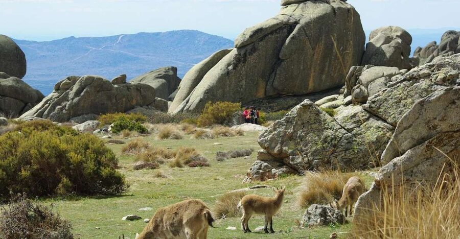 From Madrid: Sierra de Guadarrama Hiking Day Trip - Leaving Sol for the Sierra de Guadarrama