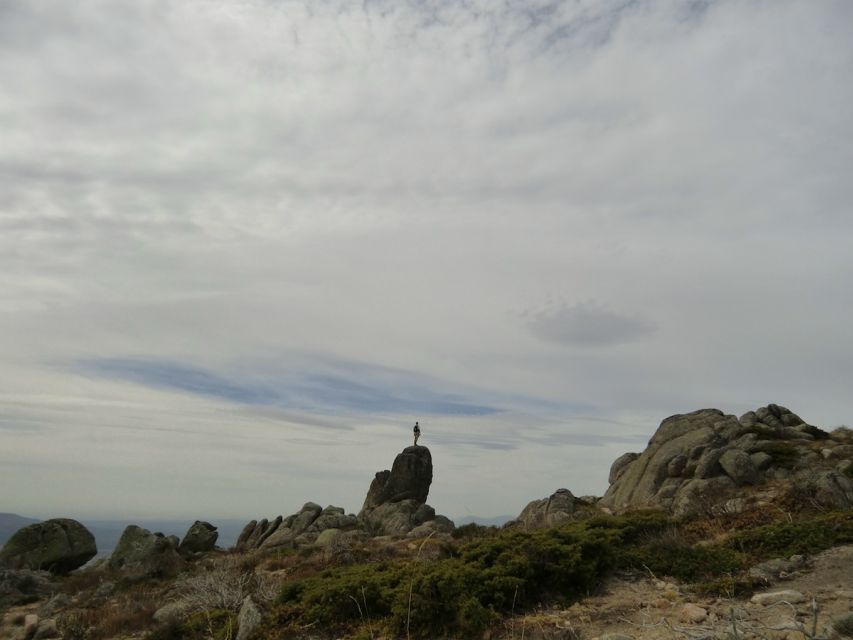 From Madrid: Sierra de Guadarrama Hiking Day Trip - The four-hour hike: active, flexible, and not a casual stroll