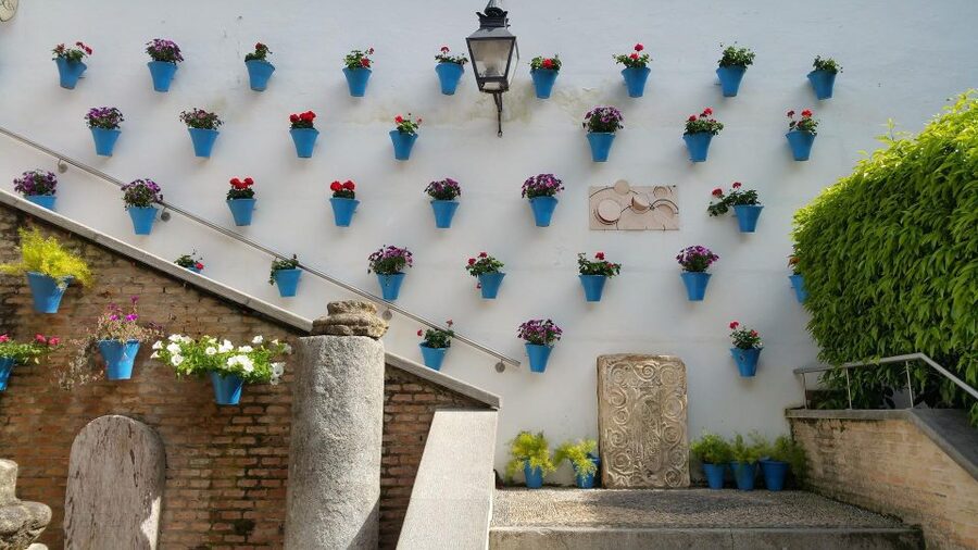 From Malaga and Costa Del Sol: Cordoba Day Trip - The Alcázar, Roman Bridge, and Calahorra Tower